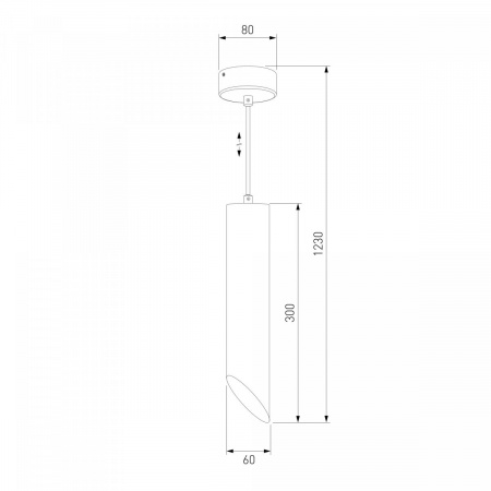 фото Подвесной светильник 7011 MR16 WH/GD белый/золото