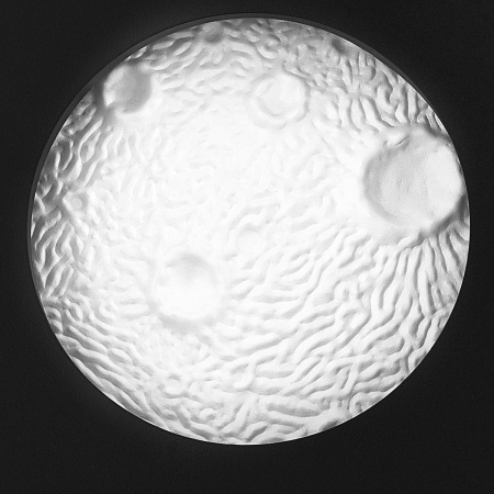 фото Бра Snodo, черный Lightstar 810577