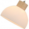 фото Подвесной светильник Arte lamp CAPRICE A4184SP-1BR