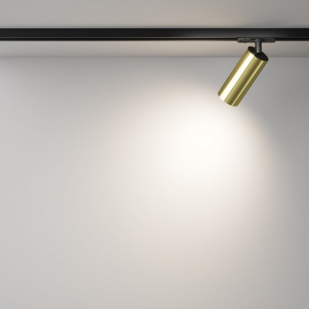 фото Трековый светильник Maytoni Technical Focus LED TR021-1-12W4K-W-BBS, черный