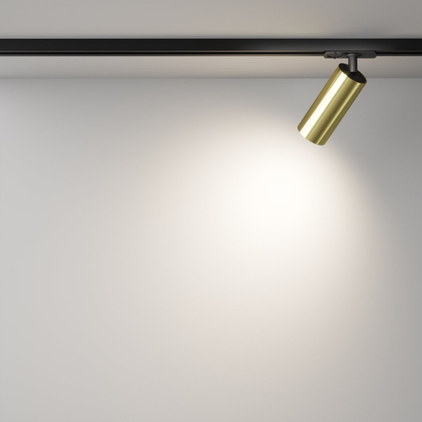 фото Трековый светильник Maytoni Technical Focus LED TR021-1-12W4K-W-BBS, черный