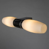 фото Подсветка для зеркал Arte Lamp AQUA-BASTONE A1209AP-2CC