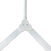 фото Офисная настольная лампа Arte Lamp TILT A5127LT-1WH