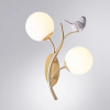 фото Бра Arte Lamp CAMOMILLA A9712AP-2SG