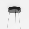 фото Подвесной светильник Maytoni Rim MOD058PL-L54BK, черный