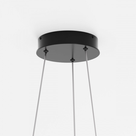 фото Подвесной светильник Maytoni Rim MOD058PL-L54BK, черный