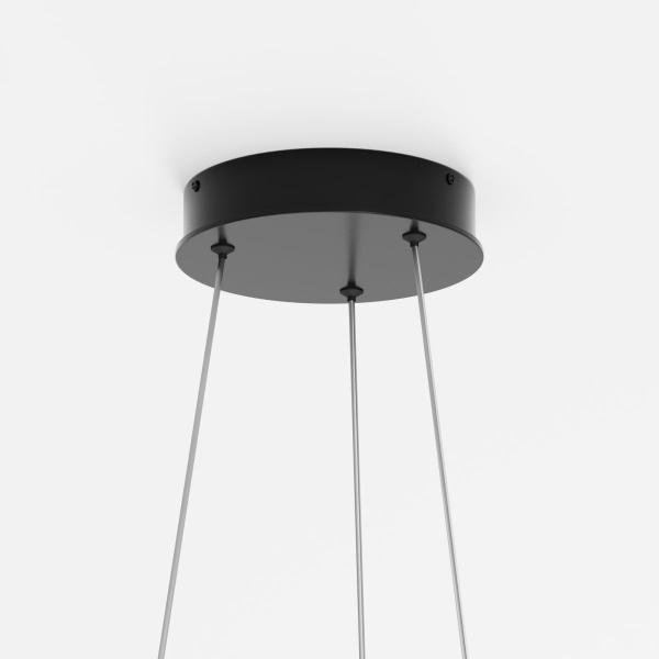 фото Подвесной светильник Maytoni Rim MOD058PL-L42BK, черный