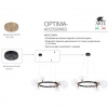 фото Подвесная люстра Arte Lamp VINCENT A7790SP-10BK