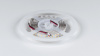 фото Лента светодиодная SWG 2x DSG 2835 DW 196L-V24-IP33, 4000 K, 980 LED, 18W/m, 5000*15*2 mm, катушка 5 м