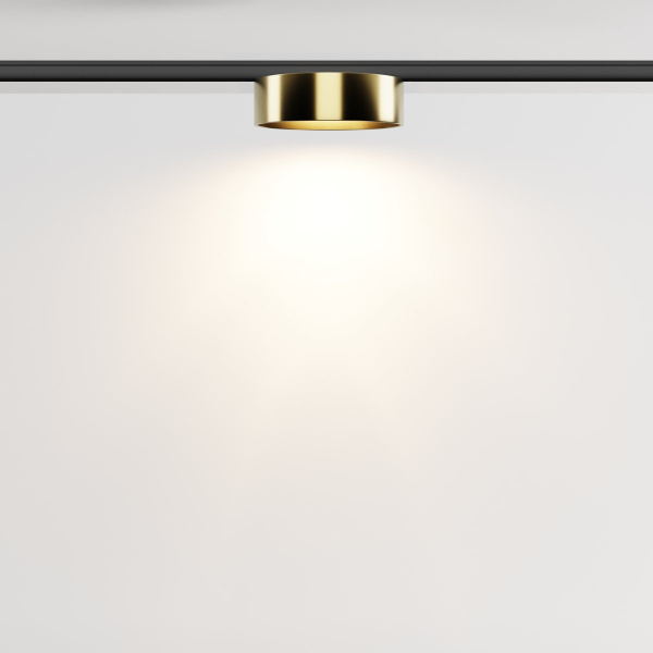 фото Трековый светильник Maytoni Technical Zon TR189-1-12W3K-BBS, черный
