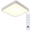 фото Потолочный светильник Arte Lamp SCENA A2663PL-1WH