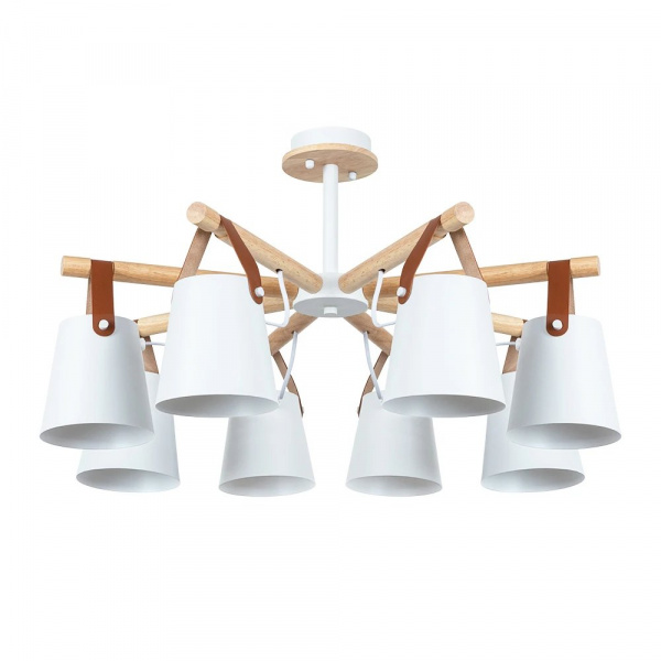 Потолочная люстра Arte Lamp THOMAS A7032PL-8WH