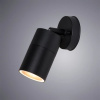 фото Уличный настенный светильник Arte Lamp MISTERO A3304AL-1BK