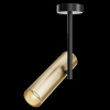 фото Потолочный светильник Maytoni Technical Elti C020CL-01GB, черный