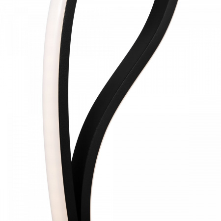 фото Настольный светильник Freya FR6103TL-L16B, черный