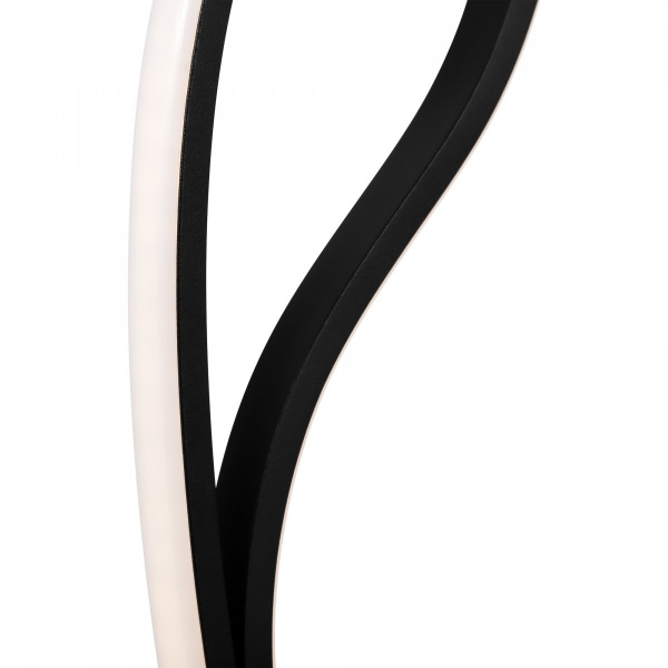 фото Настольный светильник Freya FR6103TL-L16B, черный