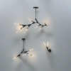 фото Потолочный светильник Freya Crown FR5213PL-05B, черный