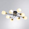 фото Потолочная люстра Arte Lamp ANDREA A8141PL-8BK