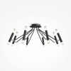фото Потолочный светильник Maytoni Vigo MOD620CL-16B, черный