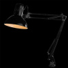 фото Офисная настольная лампа Arte Lamp SENIOR A6068LT-1BK