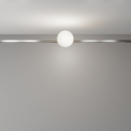 фото Трековый светильник Maytoni Technical Luna TR229-1-5W4K-PT, платина