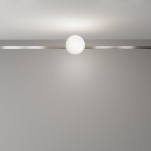 фото Трековый светильник Maytoni Technical Luna TR229-1-5W4K-PT, платина