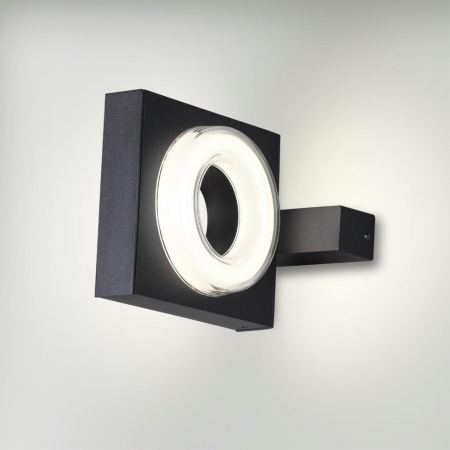 фото Черный/металл Уличный настенный светильник IP54 LED 6W 4000K AC85-265V VART NATURE, арт. 6654/6WL