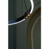 фото Подвесная люстра Arte Lamp CESARE A1993SP-30BK
