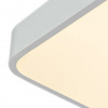 фото Потолочный светильник Arte Lamp SCENA A2663PL-1WH