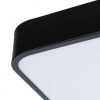 фото Потолочный светильник Arte Lamp SCENA A2663PL-1BK