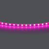Лента цветного свечения 24V, розовый Lightstar 420512