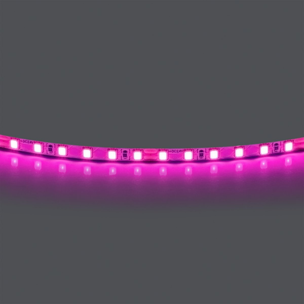 Лента цветного свечения 24V, розовый Lightstar 420512