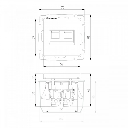 фото Розетка двойная Ethernet RJ-45 (айвори матовый) W1181162