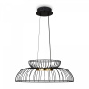 фото Подвесной светильник Freya Citrus FR5398PL-L6B, черный