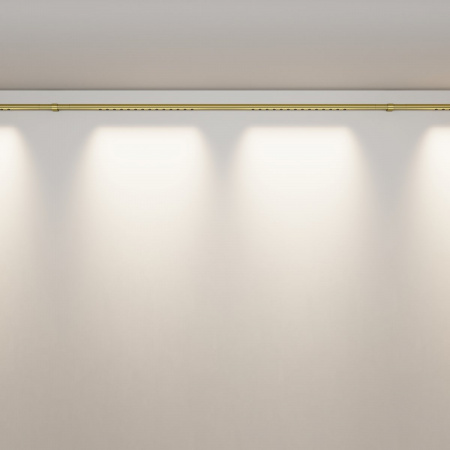фото Светильник Maytoni Technical Points C101CL-L1000-24W3-6K-BS, латунь