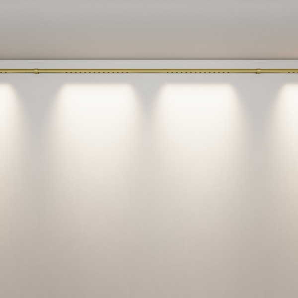 фото Светильник Maytoni Technical Points C101CL-L1000-24W3-6K-BS, латунь
