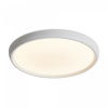 Потолочный светильник Freya FR6211CL-L24W, белый