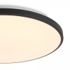 фото Потолочный светильник Freya FR6211CL-L24B, черный