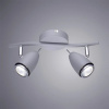 фото Спот Arte Lamp REGISTA A1966AP-2GY