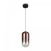 фото Подвесной светильник Freya Idol FR6134PL-L4C, черный