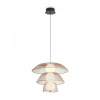 Подвесной светильник Freya Harper FR5545PL-L5BG, черный