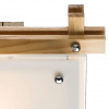 фото Потолочный светильник Arte Lamp ARCHIMEDE A6460PL-1BR