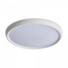 фото Потолочный светильник Freya FR6211CL-L24W, белый