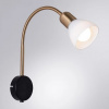 фото Бра Arte Lamp FALENA A3116AP-1BK