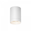 Уличный потолочный светильник Maytoni Outdoor Luxe O500CL-L10W3K, белый