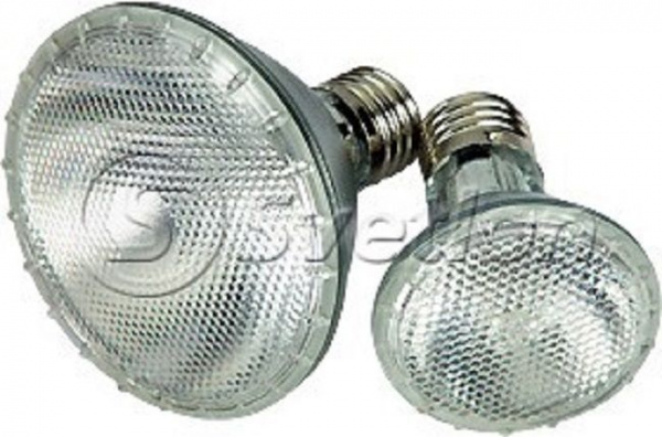 Лампа PAR38  220V  120W. Цвет: теплый белый