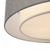 фото Потолочный светильник Maytoni Bergamo MOD613CL-04GR, хром