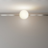 фото Трековый светильник Maytoni Technical Luna TR229-1-8W3K-PT, платина