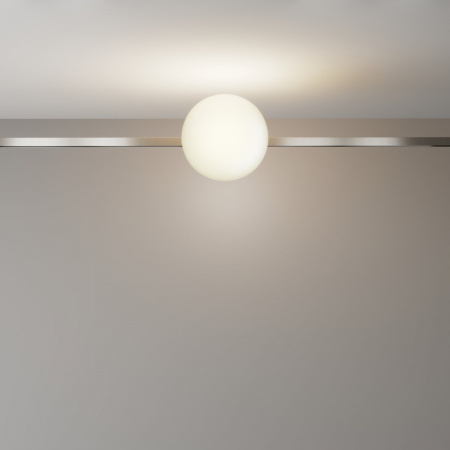 фото Трековый светильник Maytoni Technical Luna TR229-1-8W3K-PT, платина