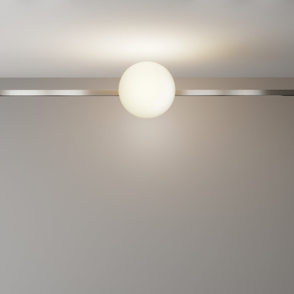 фото Трековый светильник Maytoni Technical Luna TR229-1-8W3K-PT, платина